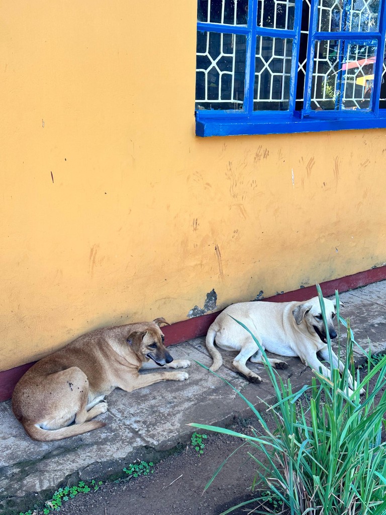 Owner-supplied photograph associated with WEMA Health Innovation Tanzania, image 17.