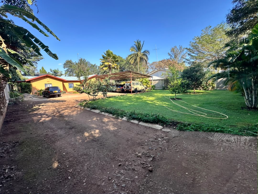 Yellow buildings, a green lawn, trees and parked vehicles on the WHIT grounds.
