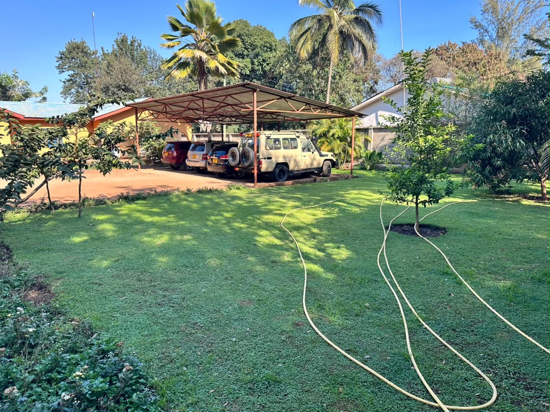 A lawn crossed by garden hoses with trees and parked vehicles beyond.